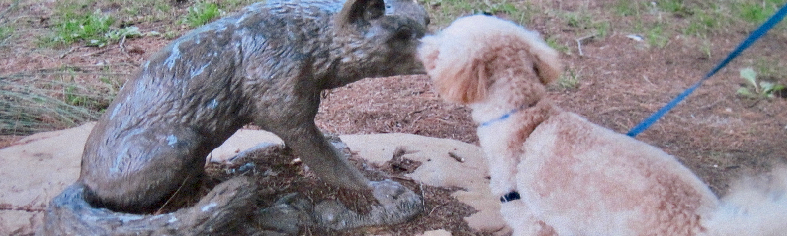 Author’s dog wanting to play with a statue of a fox.