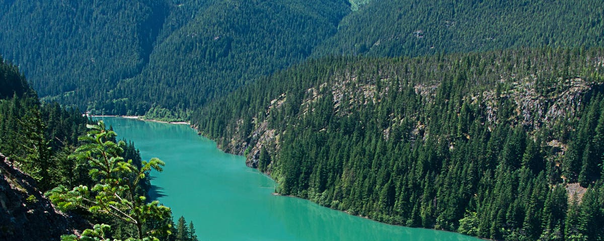 Ross Lake Washington: A Traveler’s Paradise in the Pacific Northwest