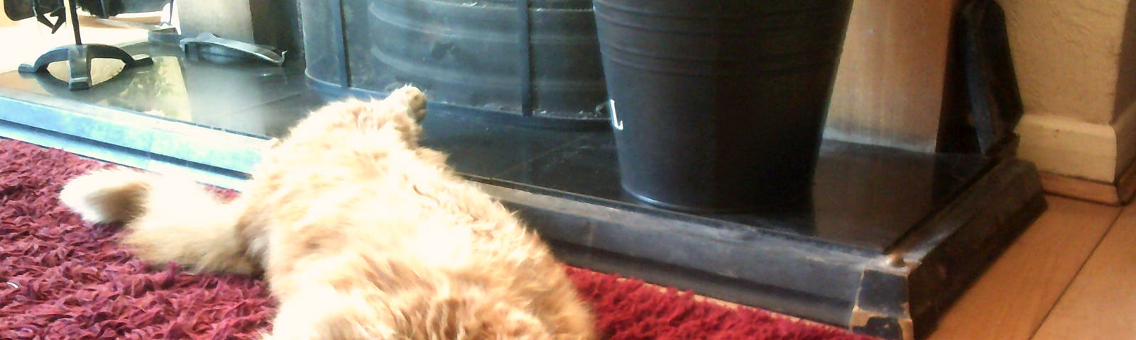 Image of a cat sprawled out on its back relaxing on a rug in front of the fire