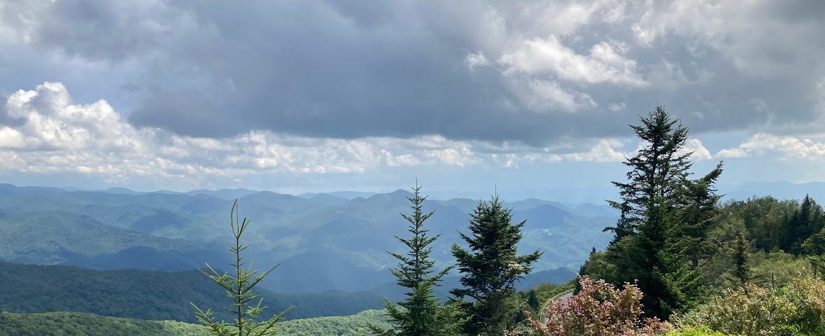 A view of clouds above, mountains in the distance, and spruce pines in the foreground.