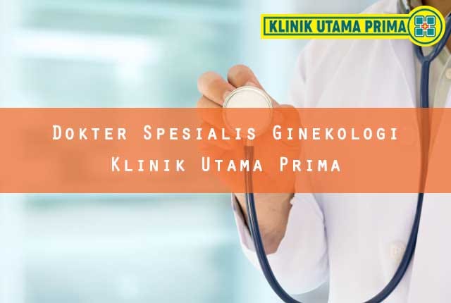dokter spesialis ginekologi klinik utama prima