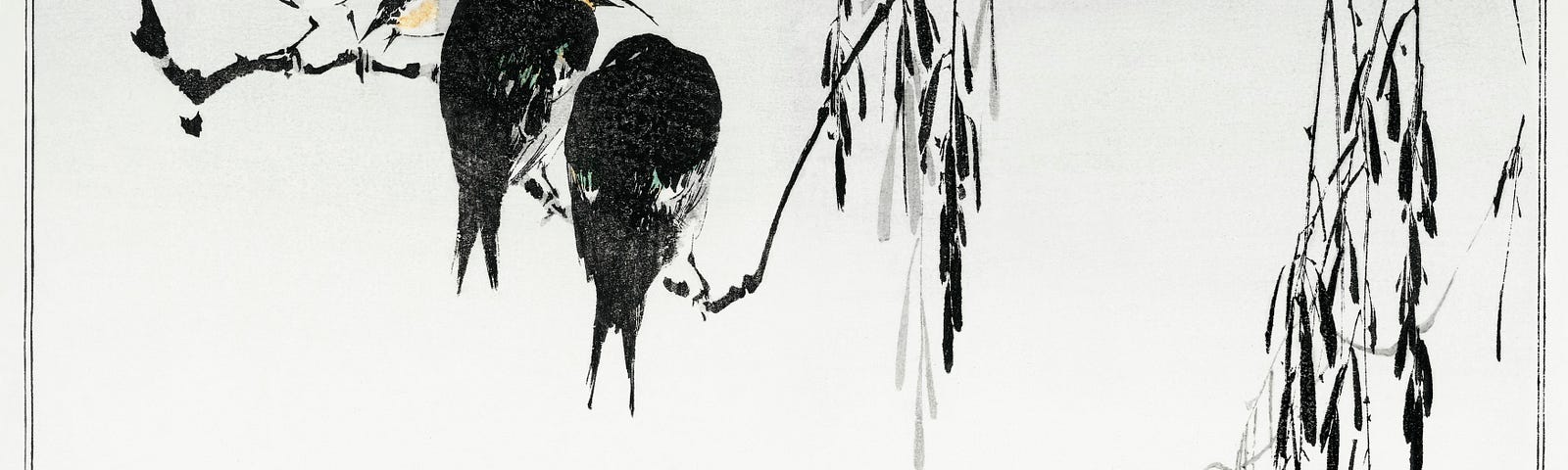 Delicate, traditional Japanese painting in black and white with flecks of creamy yellow.: magpies perched on willow branch.