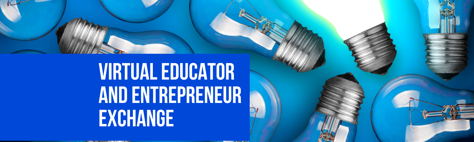 A few light bulbs with one that is illuminated. The text over the light bulbs reads “Virtual Educator and Entrepreneur Exchange”. Beneath the image there is the text “Hosted by GSV Ventures and Cambiar Catalyst”