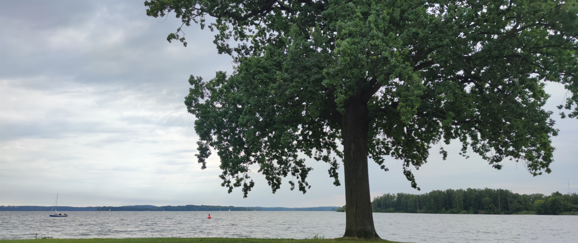 Schwerin Lake