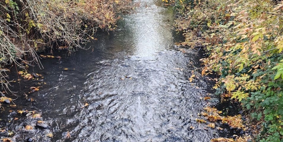 Mill Creek in Salem, Oregon