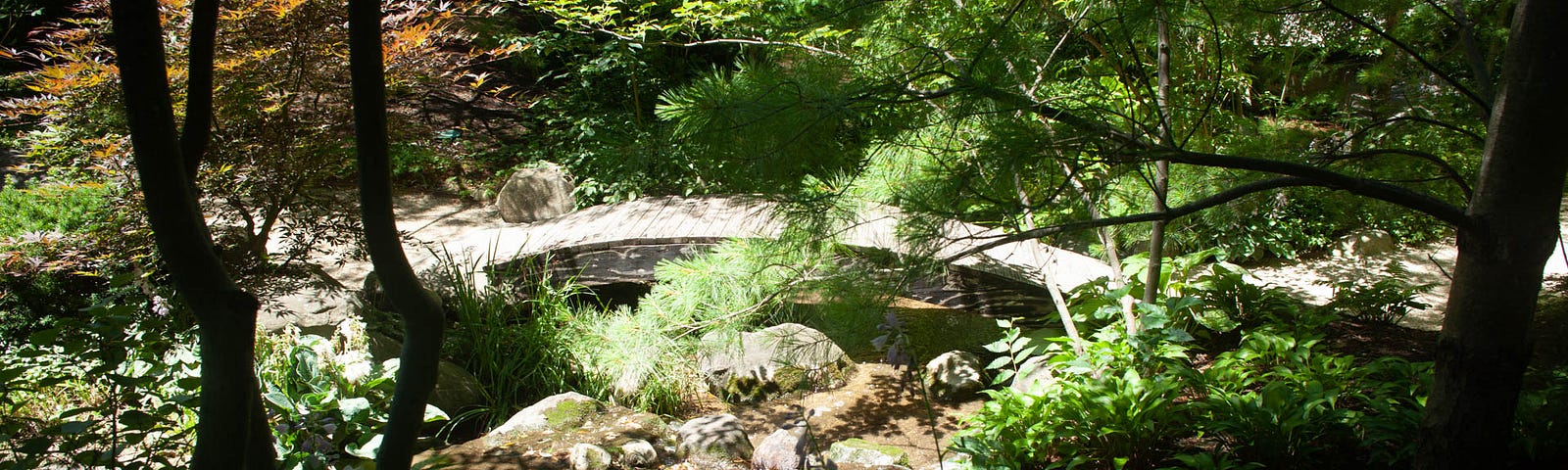 a quiet Japanese bridge in a forest