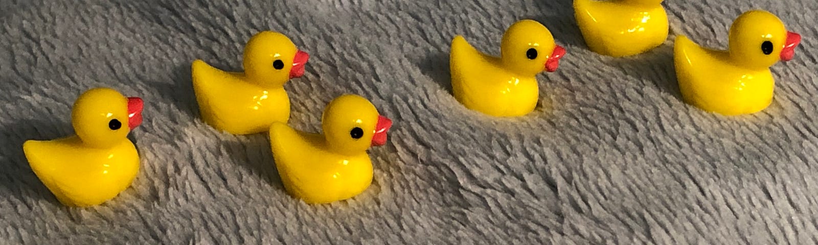 Six yellow plastic toy ducks on a blue-green blanket, looking like they’re swimming