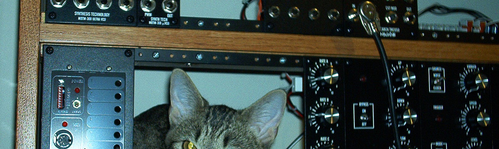 Image of a cat between recording studio equipment