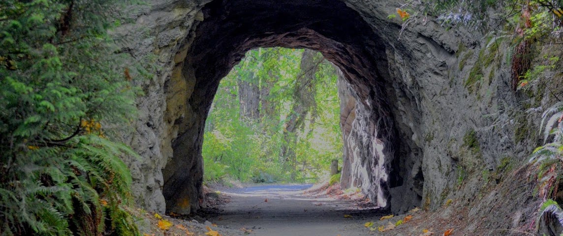Tunnel under a hill in Sehome HIll Arboretum. (Taken by Garth Beatty.)