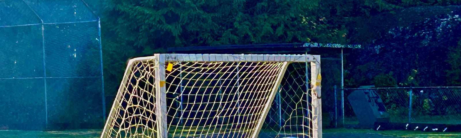 A soccer net stands at the end of a grassy field. Trees and a darkening sky are behind it.