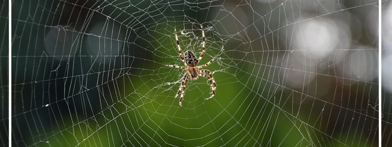 Spider web from Pixabay.com