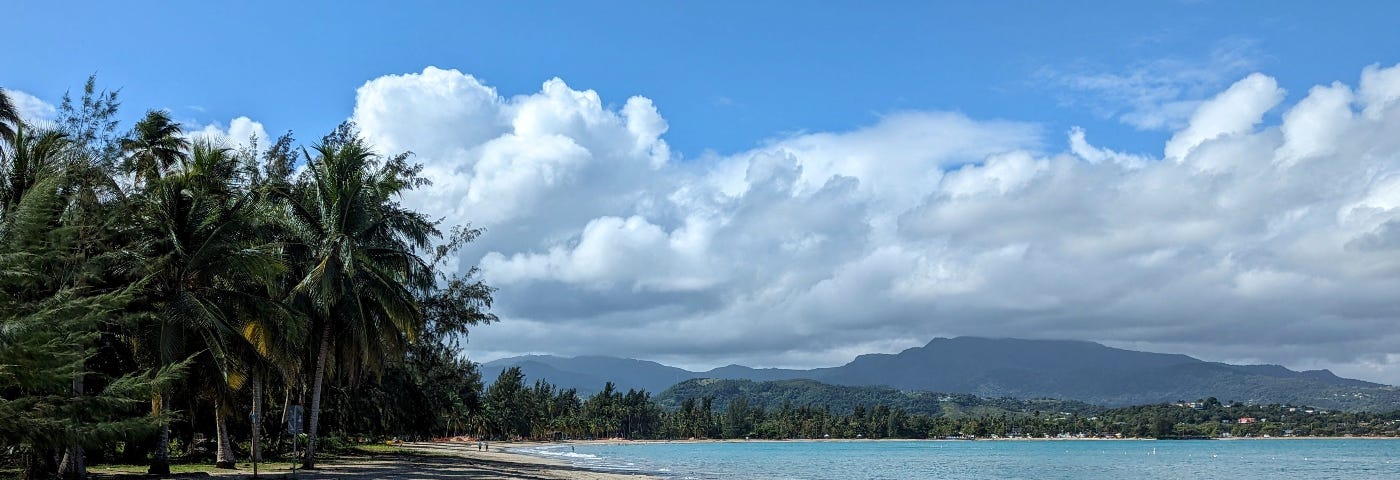 A view of a sandy beach and palm trees with the ocean and mountains in the distance.