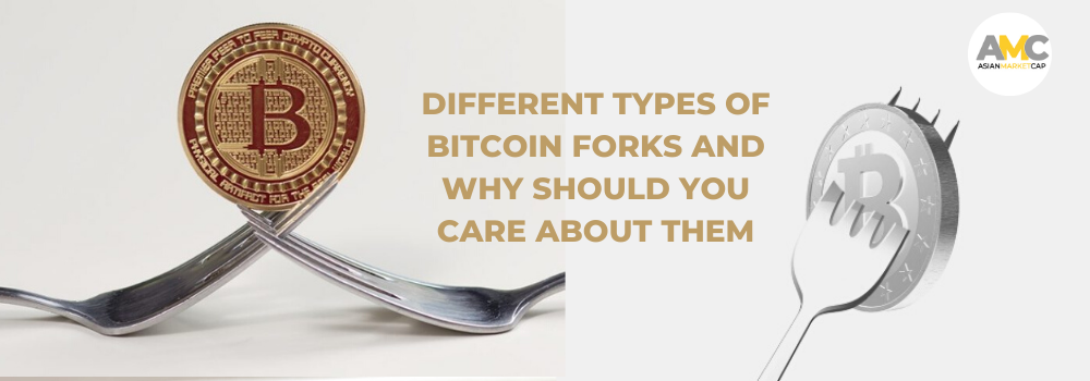 different types of forks with pictures