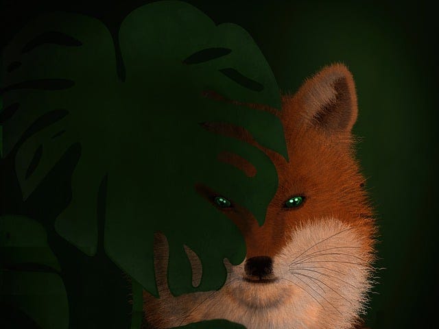 drawn image of fox at night, half hiding behind a Monsterra leaf, with glowing eyes