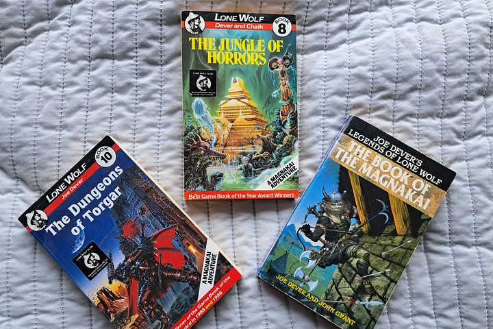 Three choose your own adventure book covers