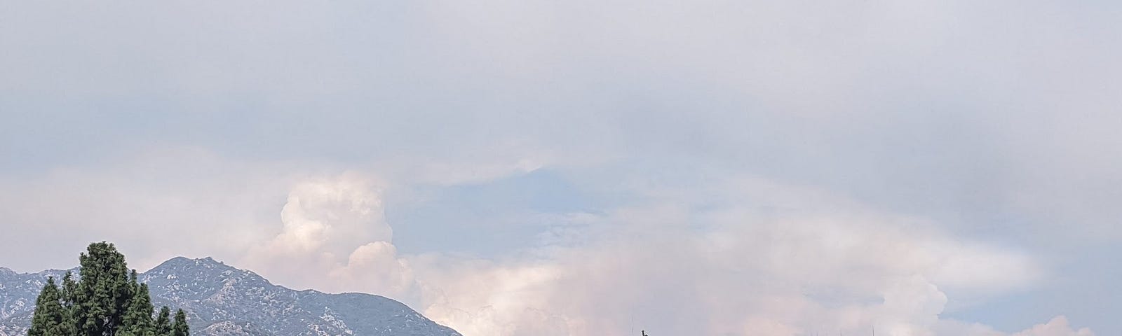 View of Mount Wilson in the distance, from above the Altadena Golf Course