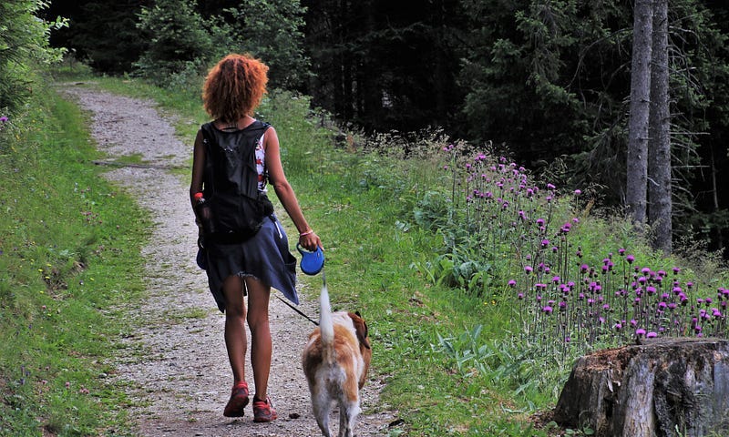 Girl in short skirt walking a dog in woodland