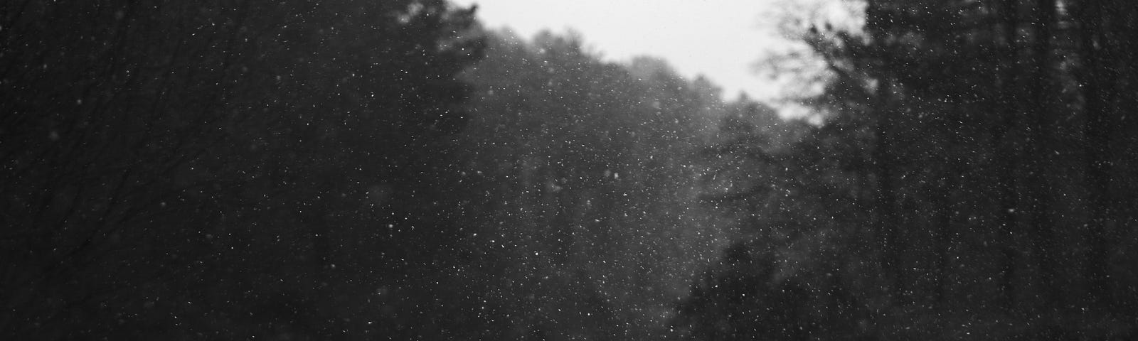 A winding road through the forest, pictured in grainy black and white.