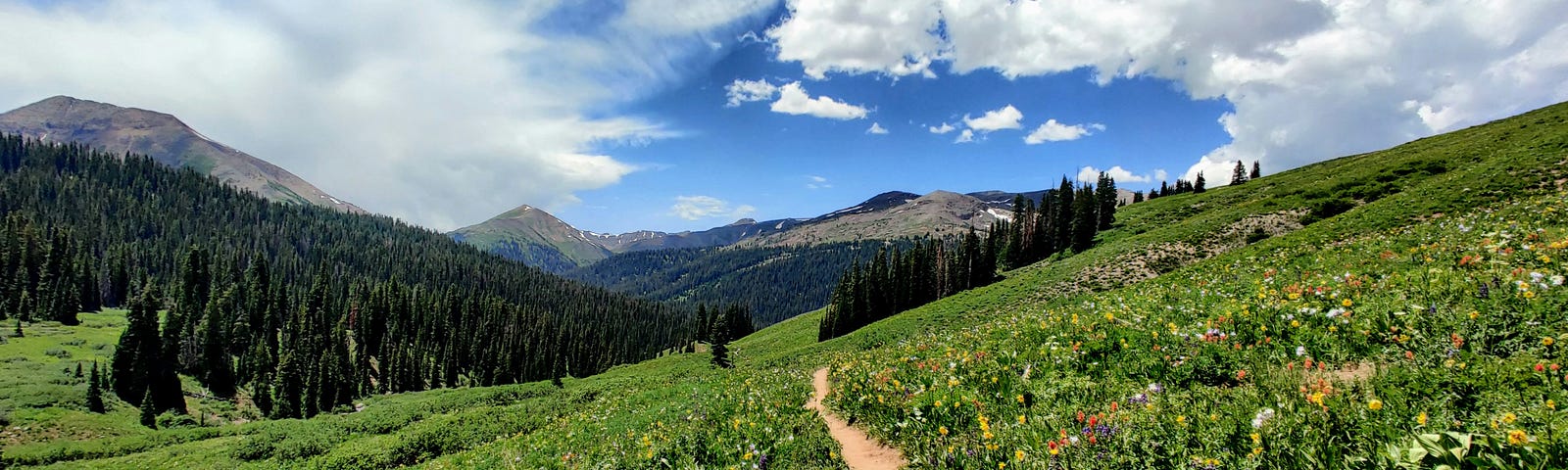 A trail across green slopes in Colorado.
