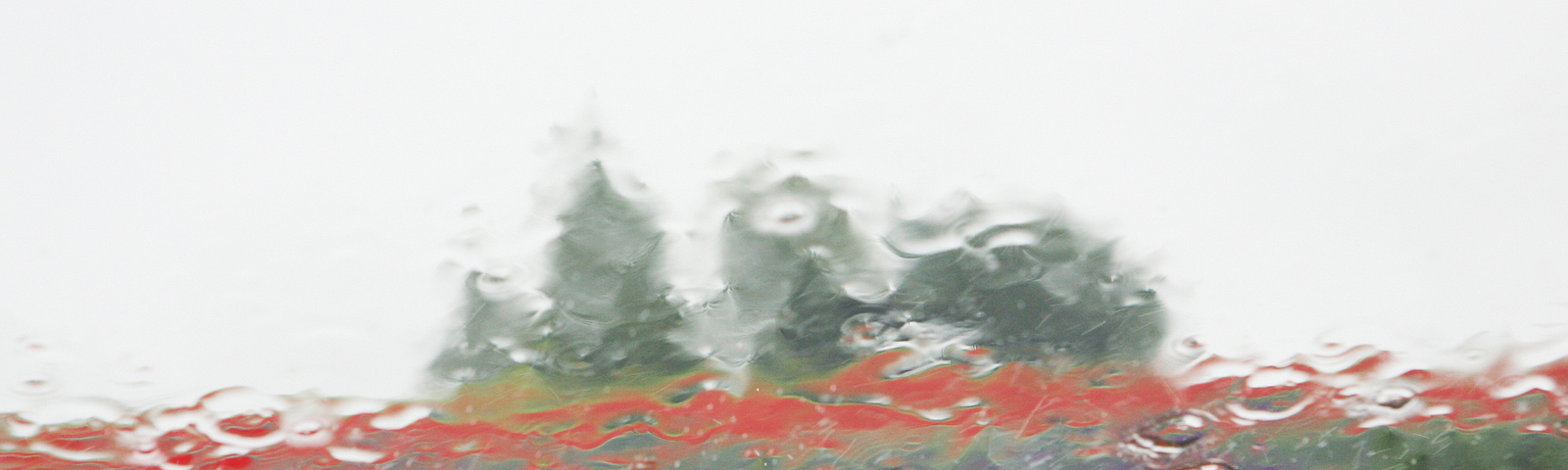 Blurred image of flowers through a rainy window; alt-text for “What if Nothing is Ever Funny Again?”