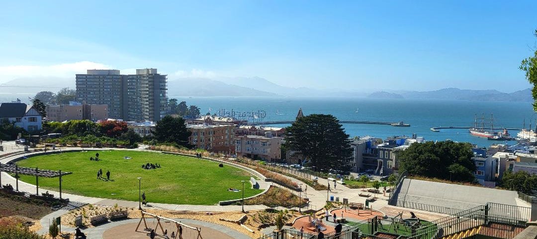 Francisco Park is a vibrant new park in San Francisco. People from all over come here to enjoy the views, sculpture and play with their dogs.