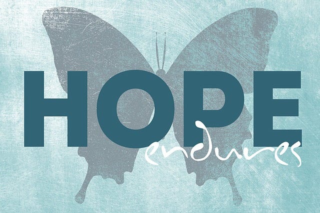 illustration of grey butterfly with the words “hope endures” on teal background. Hope for the Unimaginable Doesn’t Always Alter Your End Game by Nancy Blackman. hope, life lessons, life, faith