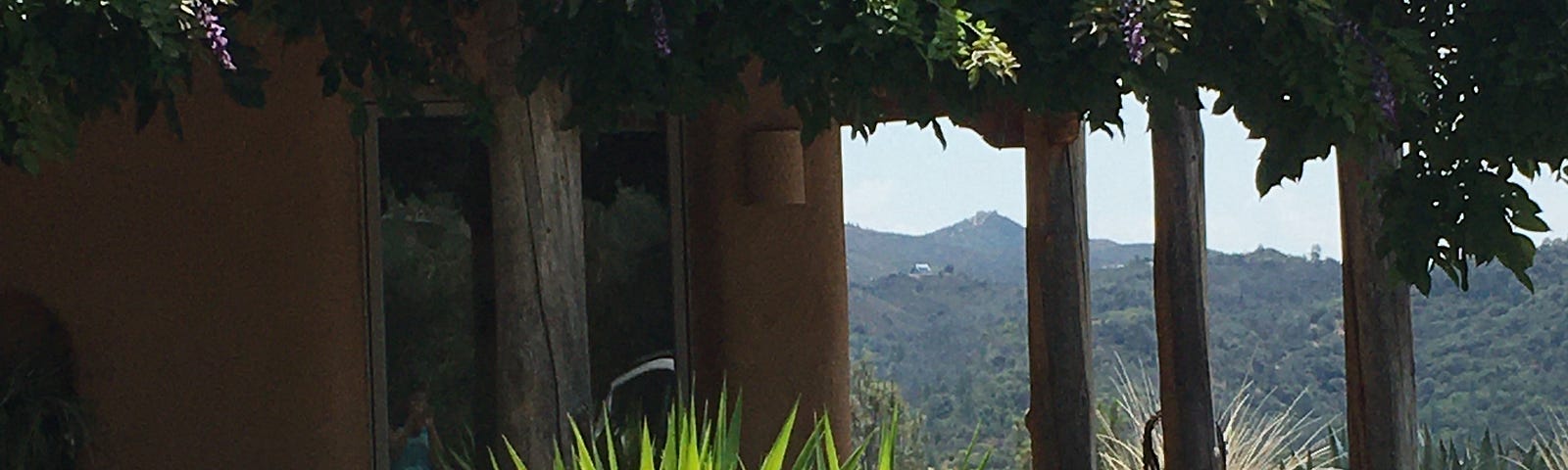Front right of adobe home, wisteria draped over front, plants in foreground, mountains in back.