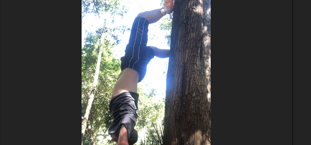 Author doing handstand using trees