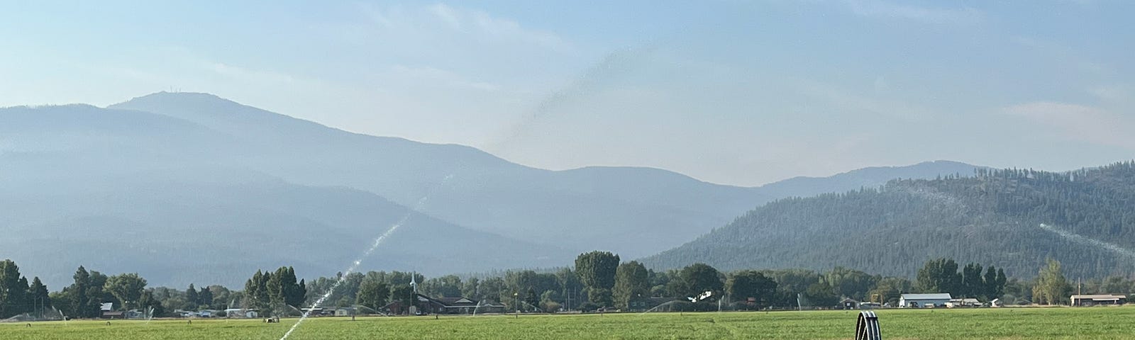 Sprinklers irrigating a field.