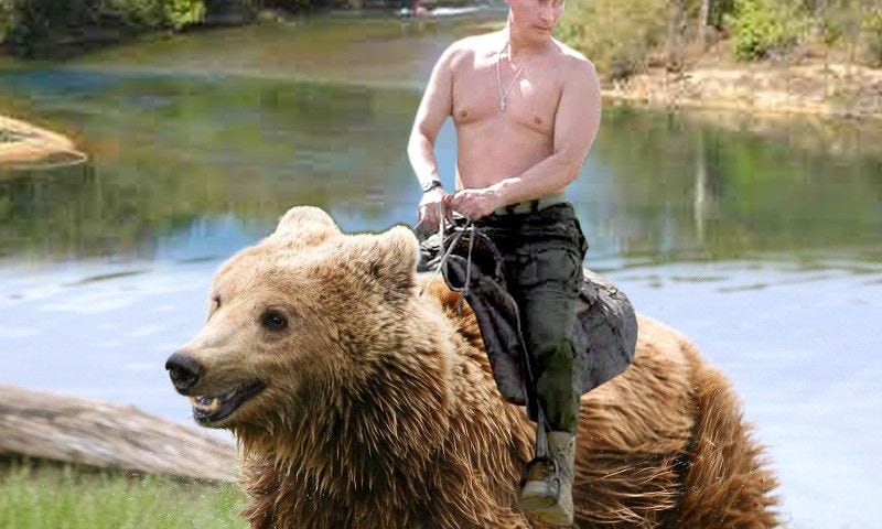 Memes du Président Vladimir Poutine à dos d’ours. Cette photo a été photoshoppée par des internautes.