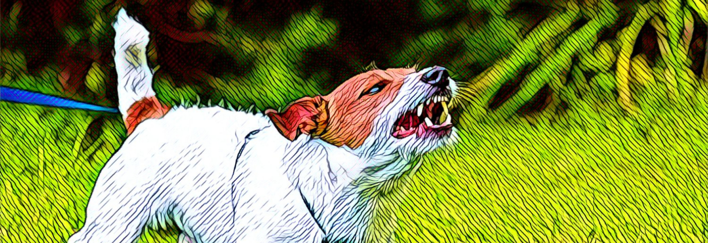 Computer-enhanced image of a dog straining on the leash.