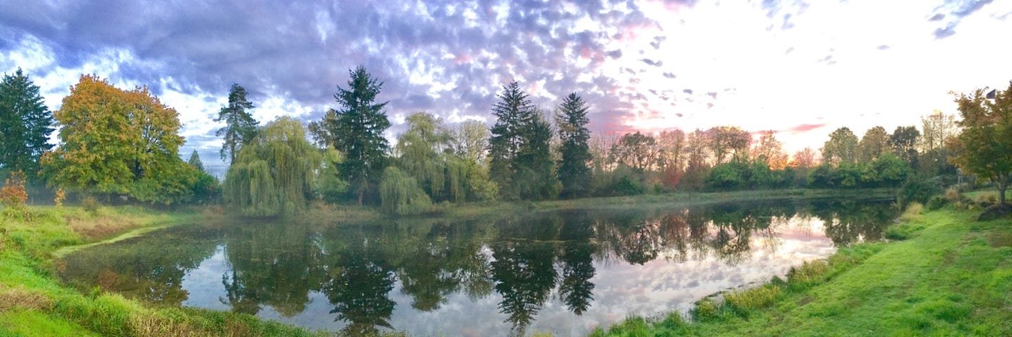large pond with purple clouds, surrounded by trees.