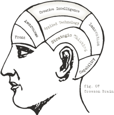 Intelligence and the Crowson Brain