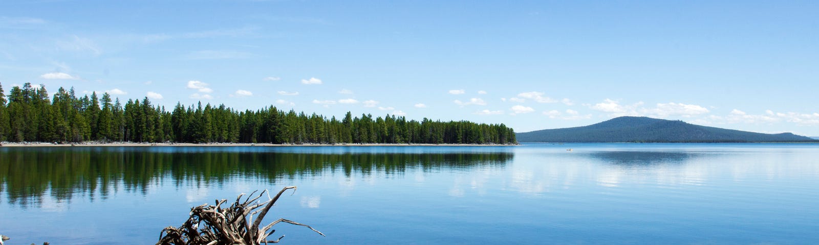 Looking across the water of Wickiup Reservoir in Central Oregon, with a tree line and mountains in the background. Sky is mostly clear with few clouds, Credit: Bonnie Moreland