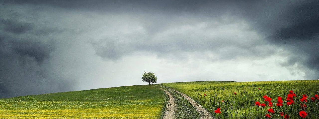 a dirt road through a field with dark skies and a tree in the distance
