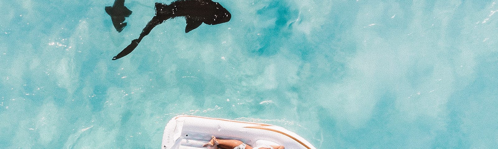 Woman sunbathing on an inflatable boat, out a sea, with sharks circling underneath.