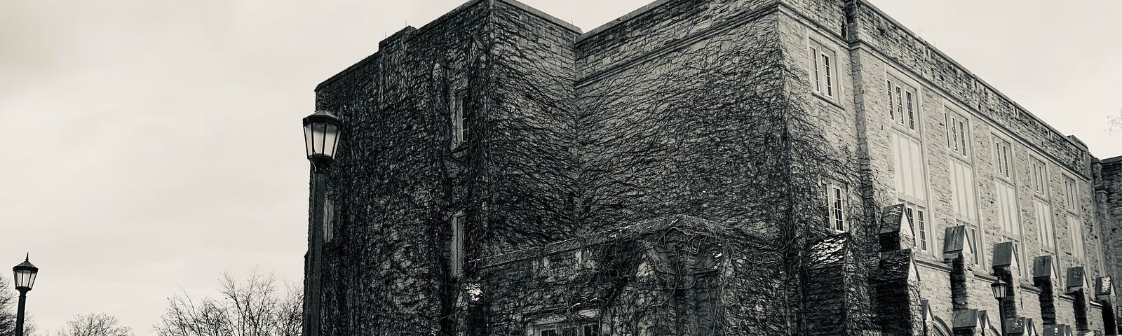 a black and white photo of an old building- there are vines growing along the sides of it