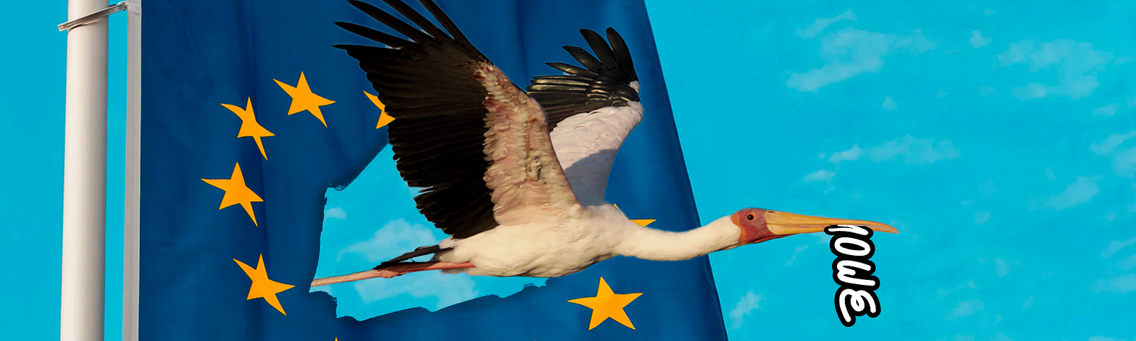A big bird holding the logo of MOWE Studio while passing through the European Union flag.