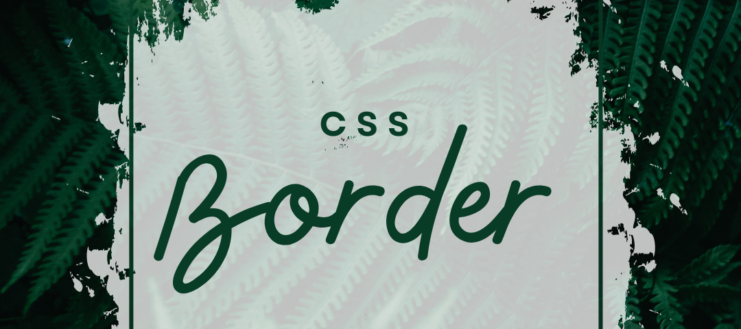 CSS Borders Properties