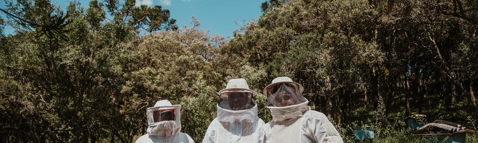 Three beekeepers in full uniform with hoods stand with a box of bees outside.