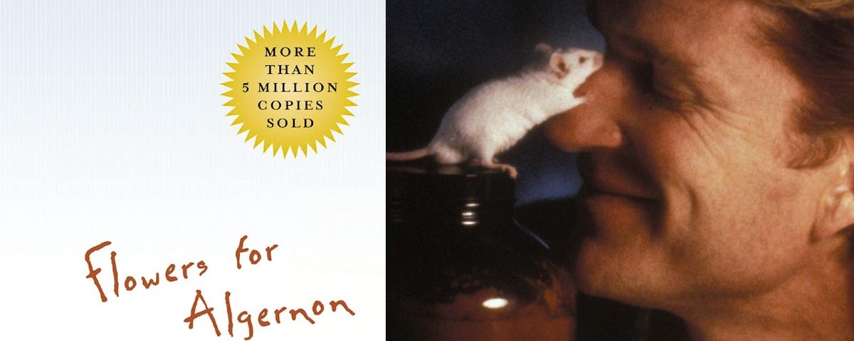 Flowers For Algernon Book Review