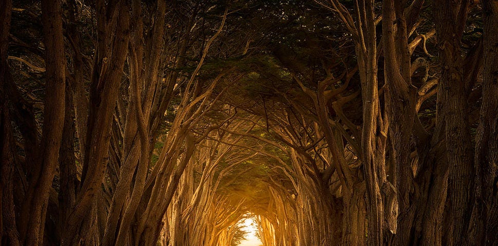 Light at the end of the tunnel is power in the present
