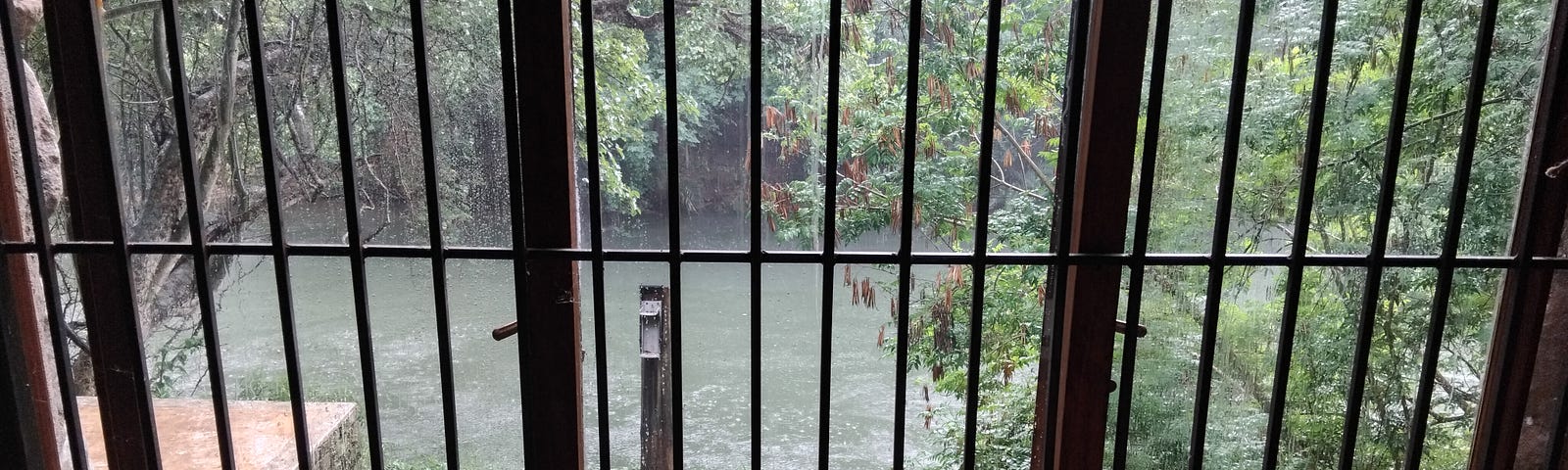 A view of a river and trees through burglar bars in front of a window
