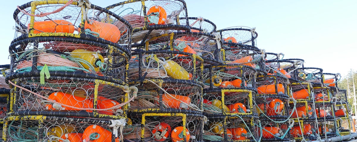 Stacks of crab pots fill the deck of a fishing boat.