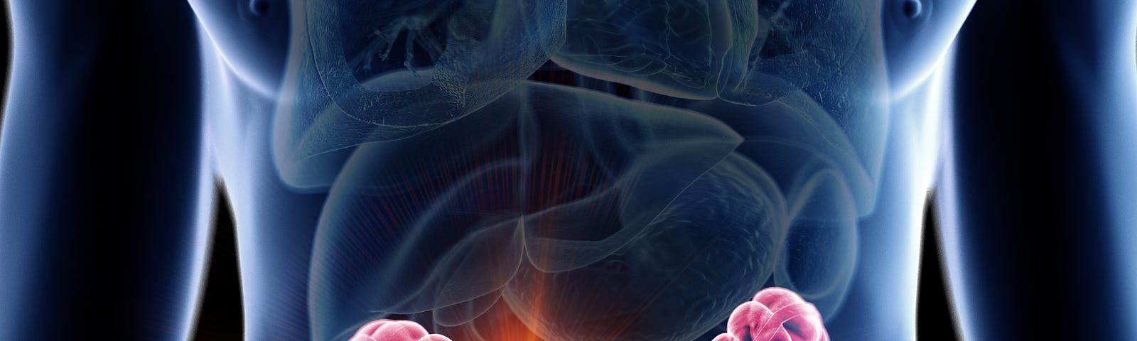 An illustration of a translucent person with a cancer in the transverse volon shining bright yellow. Aspirin might prove to be an effective strategy for preventing colon and rectal cancer cases. Today, we unveil the potential power of aspirin (or other non-steroidal anti-inflammatory drugs) for colon cancer prevention.