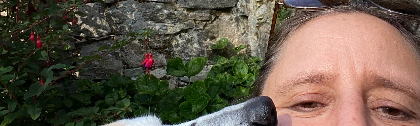 Me being kissed by my furry bestie, Ginger the dog.