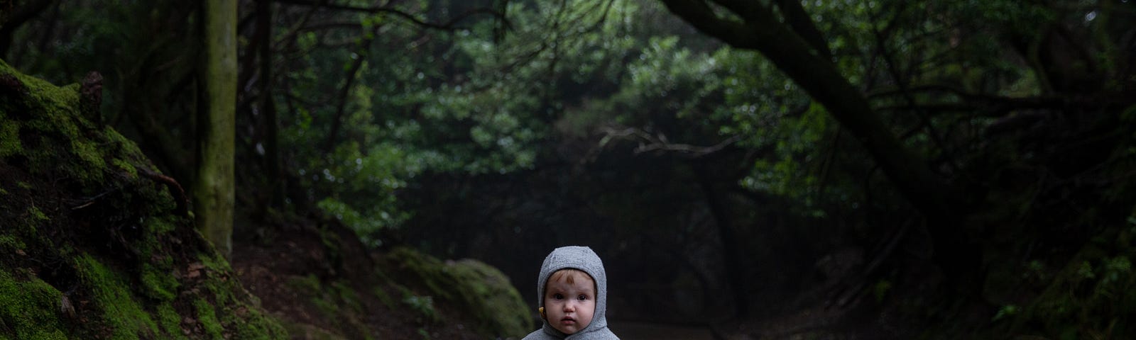 A scared-looking Infant toddler in a grey hooded onesie standing on a wood board path in the middle of a lush green forest.