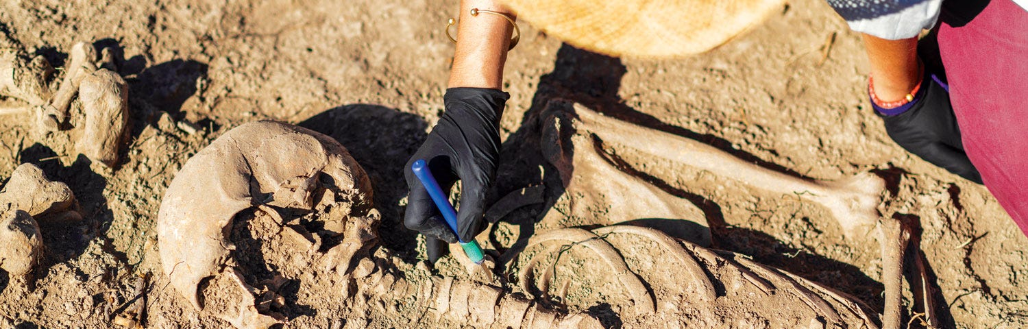 Photo of a skeleton being excavated.