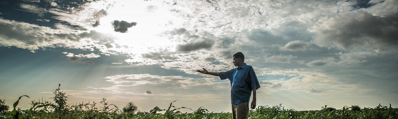 A man gestures while in field with depleted soil and hip-high plants.