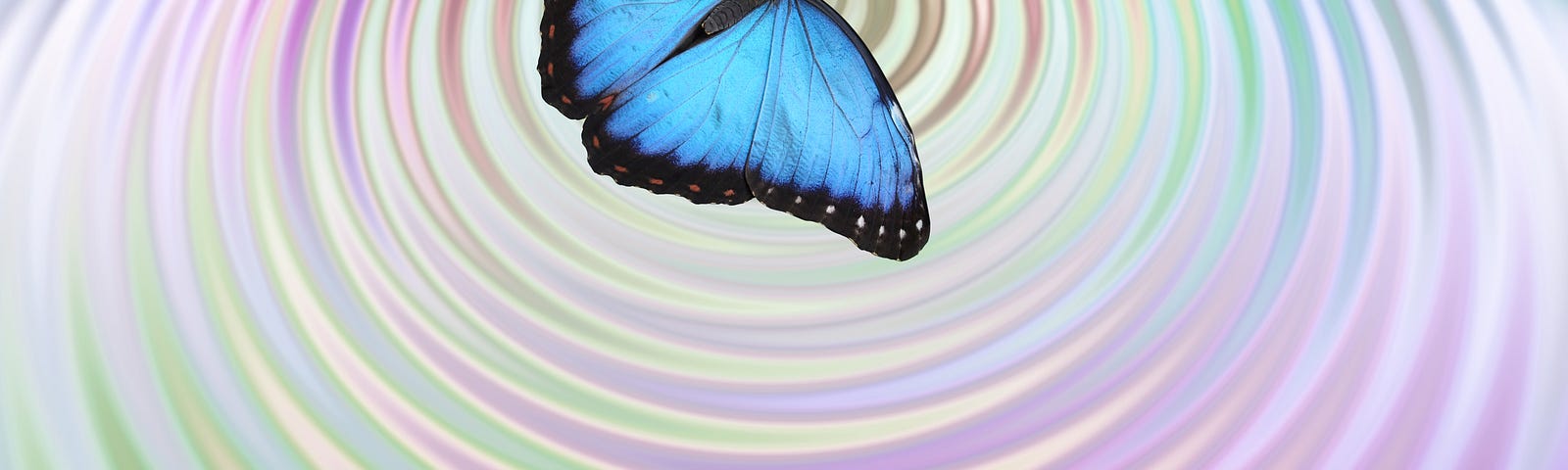A beautiful illustration of a blue butterfly flying above a swirled background colored in light purple and green. The swirls represent the ripples indicative of the butterfly effect.